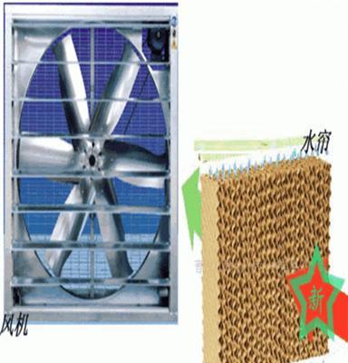 ANF（B）系列鸡舍通风降温负压风机