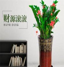 北京花卉出租公司绿植销售