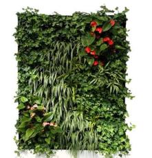 运通系列移动智能植物墙 室内花卉绿植盆栽 美观净化空气