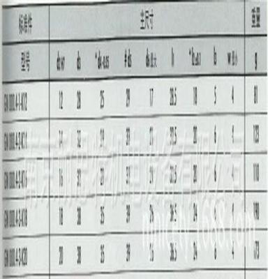 带滑动轴承的安全连接衬套 GN000.4 GANTER 德国进口