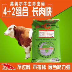 肉牛育肥饲料的功效牛育肥精饲料配方肉牛育