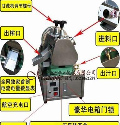 电瓶甘蔗榨汁机