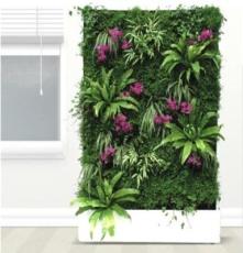 兰尚系列移动智能植物墙 室内花卉绿植盆栽 美观净化空气