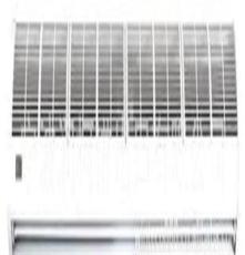 1000mm 電加熱風(fēng)幕機 熱風(fēng)幕機 PTC風(fēng)幕機 1米風(fēng)幕機