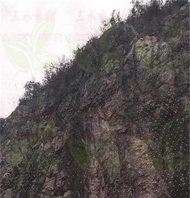 湖南长沙绿化挂无纺布施工矿山草籽复绿