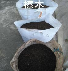 江苏檫木种子基地大量供货，檫木苗大量批发出售