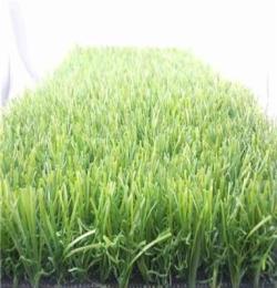 東莞綠野生態(tài)專業(yè)銷售綠化草種，綠化方案，耐熱草種，護坡草種