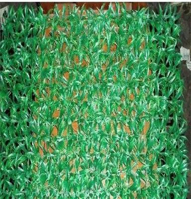 人工塑料草坪批发 装饰假草坪出售北京假草皮