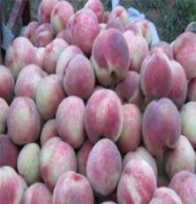 供应早熟七月鲜高产桃苗，优质桃苗尽在青州利民果树之乡