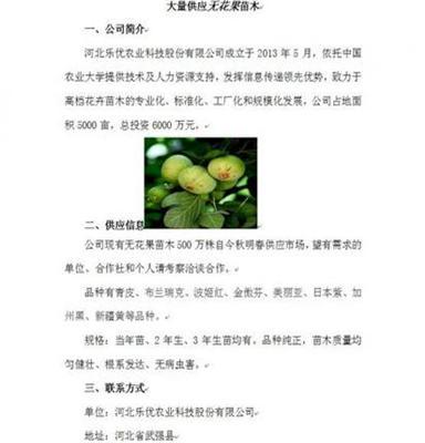 河北乐优农业 --供应多品种的现货的 无花果苗木