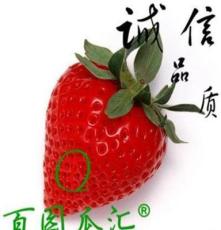 盆栽四季草莓苗 优质硕蜜草莓苗 四季果树苗 包成活当年结果