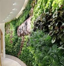 禧雅世家绿植墙,无土滴灌植物绿墙,垂直绿化,无土栽培墙面绿化