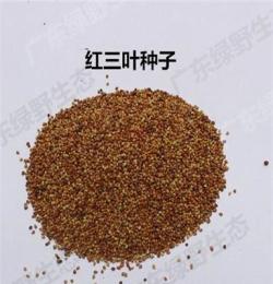 綠野生態(tài)專業(yè).護坡草種.綠化草種.草花種子.草坪草籽.灌木種批發(fā)