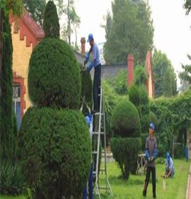 绿化工程 景观设计 花卉租摆 植物租赁 湖北淡雅香园林景观工程