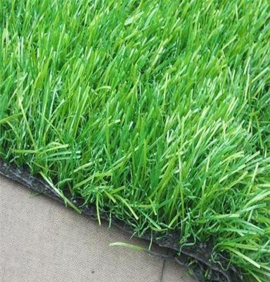 足球场运动仿真假草坪 人造草皮批发北京装饰草坪出售