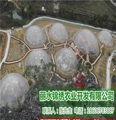 球形大棚建造价格、锦绣农业开发质量可靠