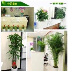 厂家绿东园艺 上海办公室植物租赁 鲜花租摆 绿化养护 免费上门设计
