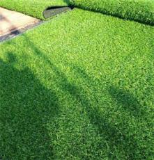 草坪网仿真人造草坪幼儿园工程绿色假草皮 规格齐全