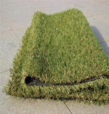 供应厂家直销人造草坪 人工草坪安装供应 昆明草皮电话 草皮造价