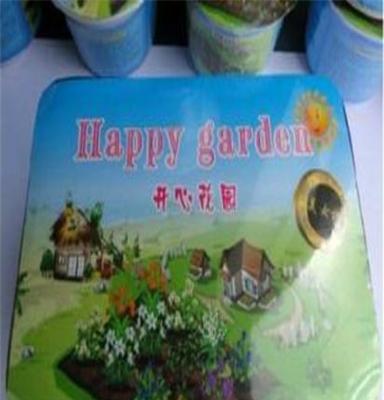 五彩石竹 开心花园 开心农场 生态玩具QQ农场迷你植物微型盆景