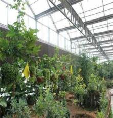供应辽宁中荷润农玻璃连栋温室  生态餐厅设计施工方案