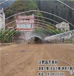 沃野園藝(在線咨詢)、祥云大棚膜、農(nóng)用大棚膜