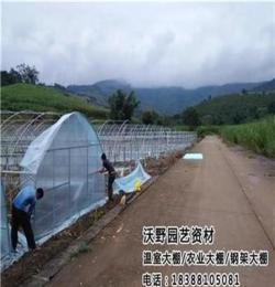 安順沃野溫室(圖)、安順溫室大棚價(jià)格