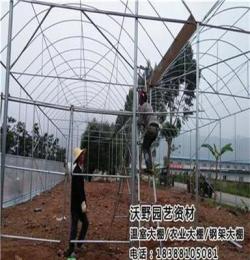 畢節(jié)沃野溫室(圖)_畢節(jié)溫室大棚工程