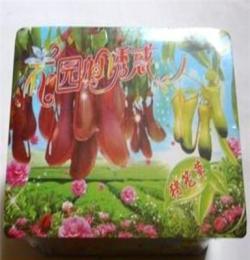 GG038A花園的誘惑 開心農(nóng)場 開心牧場 生態(tài)玩具 新奇特禮物 盆景