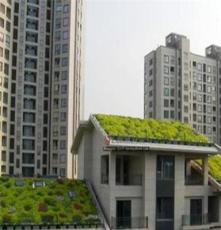河北天台式屋顶绿绿化厂家