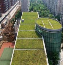河北天台式屋顶绿化质量保证