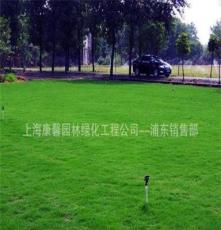 特价批发上海绿化价格/上海草皮价格