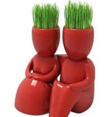 微型盆景红色恋人草娃娃盆景 创意礼品 休闲减压绿植