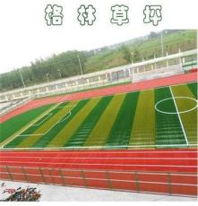 格林草坪乌鲁木齐分公司 供应足球场人造草皮