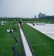 北京假草坪厂家直销人造草坪