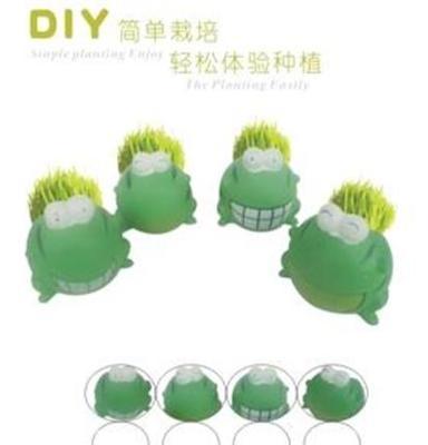 长草娃娃批发 园林植物盆景 DIY系列 绿豆蛙