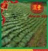 植生袋 山东厂家 生产销售生态植草袋 堤坡施工专用