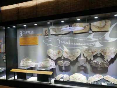 福州古董收藏馆展柜厂家-平移门博物馆展柜