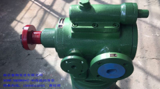 3QGB90X2-46保温泵铸钢沥青螺杆泵