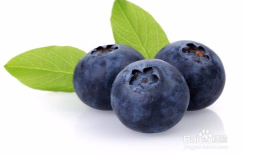 美国蓝莓饮品贴牌源头厂家