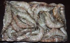 海鲜水产品厄瓜多尔白虾进口报关资料