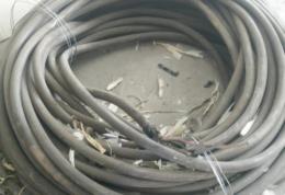 惠州带皮旧电缆回收报价