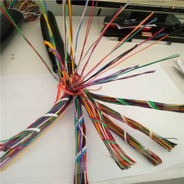 HPVV22 10*2*0.9电缆 天联牌铠装电缆