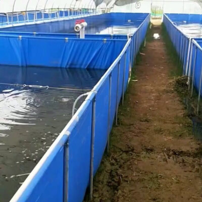 现代养虾帆布水池价格 养殖帆布鱼池易排污