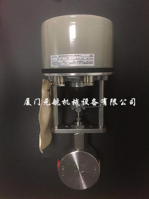 Badger 伺服電機控制閥1/2NPT 1.4539 HH500