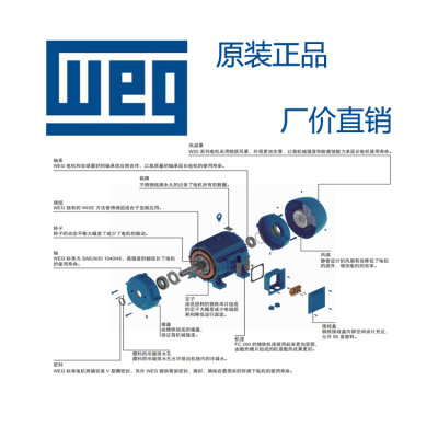 WEG电机 万高电机 中国总代理