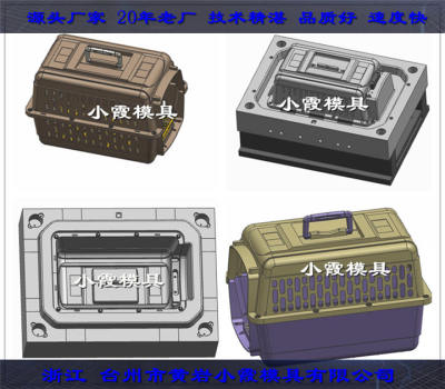 便携托运宠物屋模具便携托运动物箱塑料模具