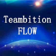 Teambition Flow企业版
