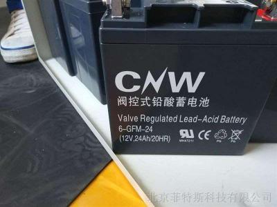 储霸CNW蓄电池6-GFM-3812V38AH工厂直销报价