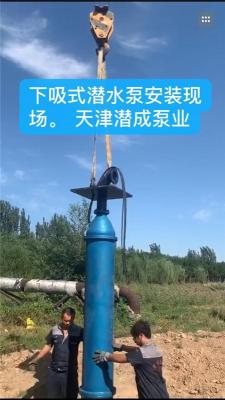 下吸泵生产厂家天津潜成泵业